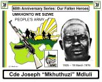 Joseph “Mkhuthuzi” Mdluli Brutally Murdered