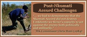 Post-Nkomati Accord Challenges in Swaziland