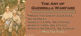The Art of Guerrilla Warfare Revisited