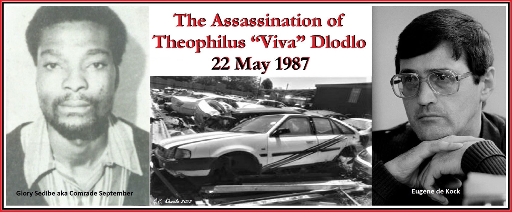 Read more about the article The Assassination of Theophilus “Viva” Dlodlo
