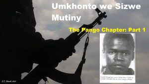 Read more about the article The Pango Mutiny: Part 1 – the Brutal Sunday
