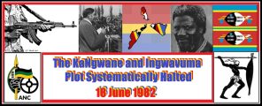The KaNgwane and Ingwavuma Plot Systematically Halted