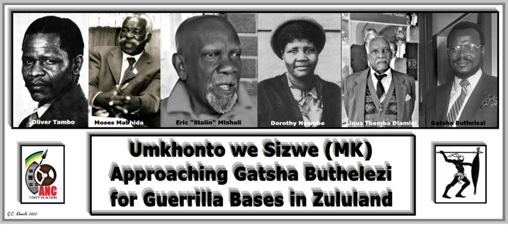 Read more about the article MK Approaching Gatsha Buthelezi for Guerrilla Bases in Zululand