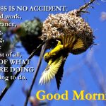 SUCCESS IS NO ACCIDENT