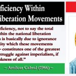 Ideological Deficiency Within the National Liberation Movements