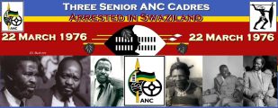 Three Senior ANC Cadres Arrested in Swaziland