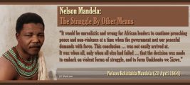 Nelson Mandela: The Struggle By Other Means