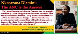 Nkosazana Dlamini: The ANC is the Answer