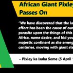 African Giant Pixley ka Isaka Seme Passes On